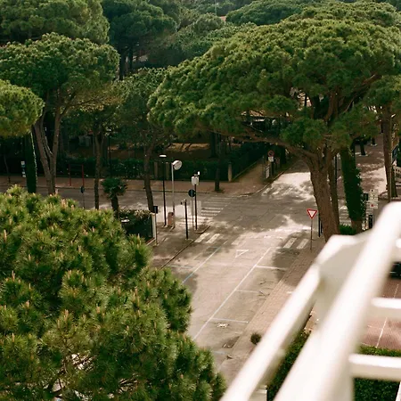 Marittimo Al Mare - Mimma Hotel Milano Marittima